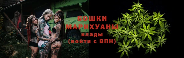 индика Нея