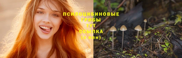 скорость Новокубанск