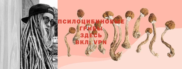 тгк Богородск