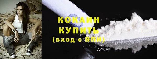 индика Нея