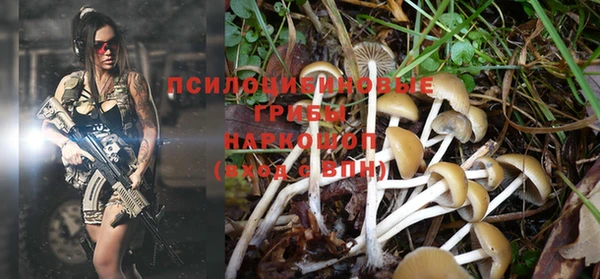 скорость Новокубанск