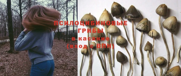 экстази Новозыбков