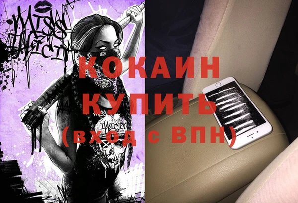 индика Нея