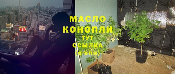 индика Нея