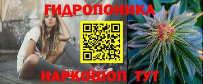 крисы Донской
