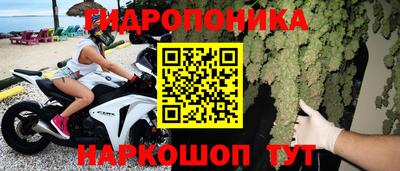 стафф Абакан