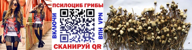 Псилоцибиновые грибы Psilocybe Сатка