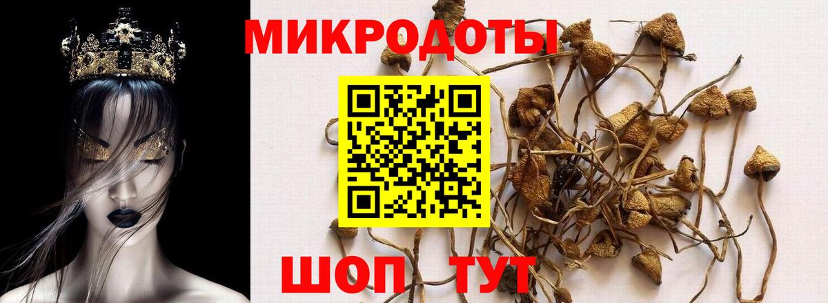 Галлюциногенные грибы мухоморы  Сатка 